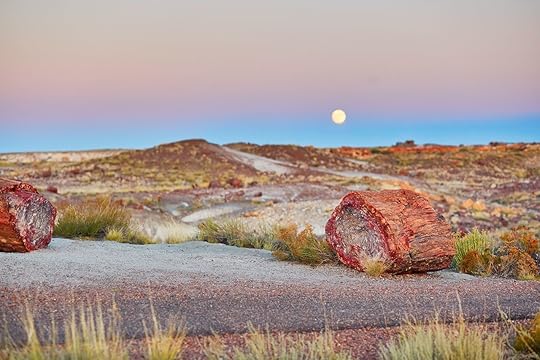 Petrified logs in the Painted desert and Petrified forest national park with full moon, Arizona, USA