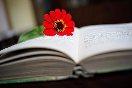 Books I Read in 2019