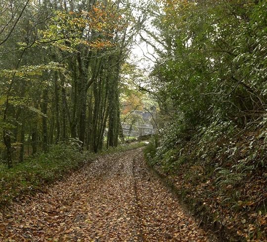 The Lew River valley