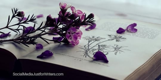 Indie Author Weekly Update