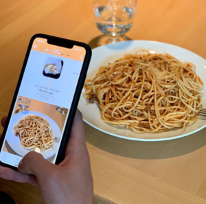 Using Ate - The Mindful Food Journaling App
