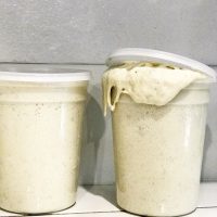 sourdough starter exploding out of container