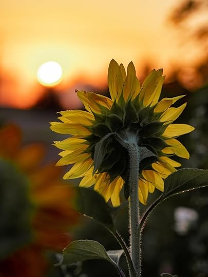 Photo: Aaron Burden on Pexels