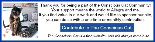 contribute banner ad