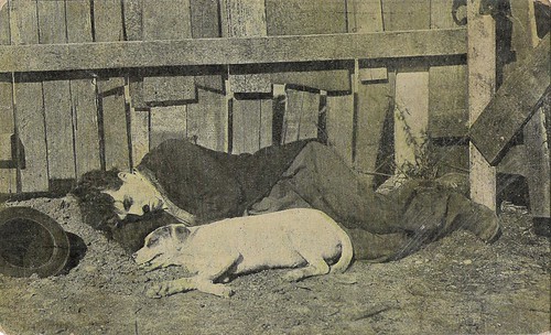 Charlie Chaplin in A Dog's Life (1918)