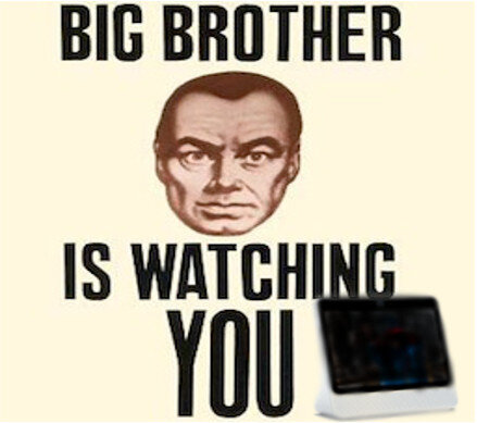 Big Brother Facebook-Portal.jpg