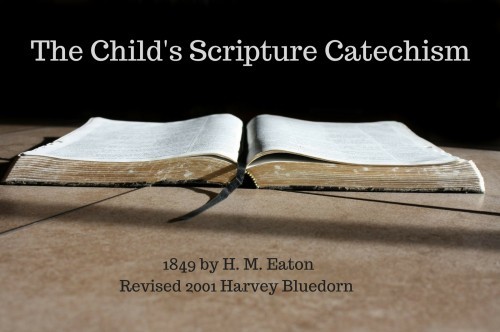 The Child's Scripture Catechism