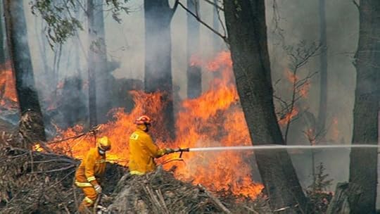 Firefighter fighting bushfire
