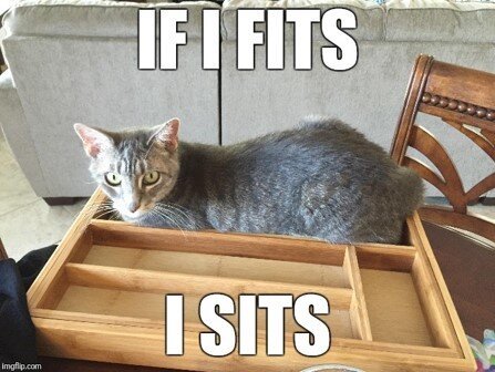 fits sits 1.jpg