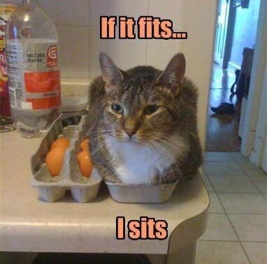 fits sits 2.jpg