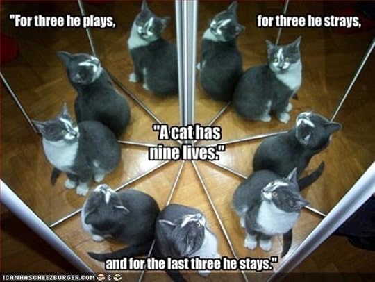 nine lives 1.jpg