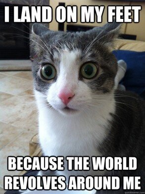 nine lives 5.jpg