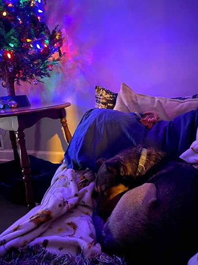 Walter sleeping.jpg