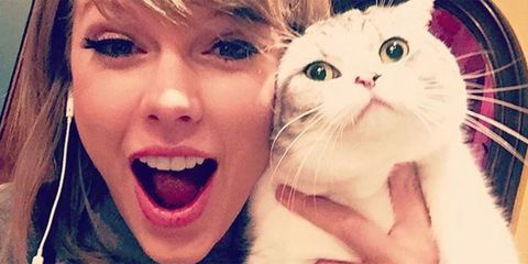 Image result for taylor swift cute