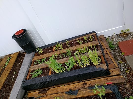 No alt text provided for this image