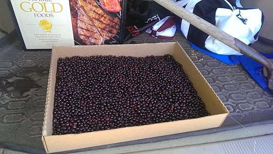 No alt text provided for this image