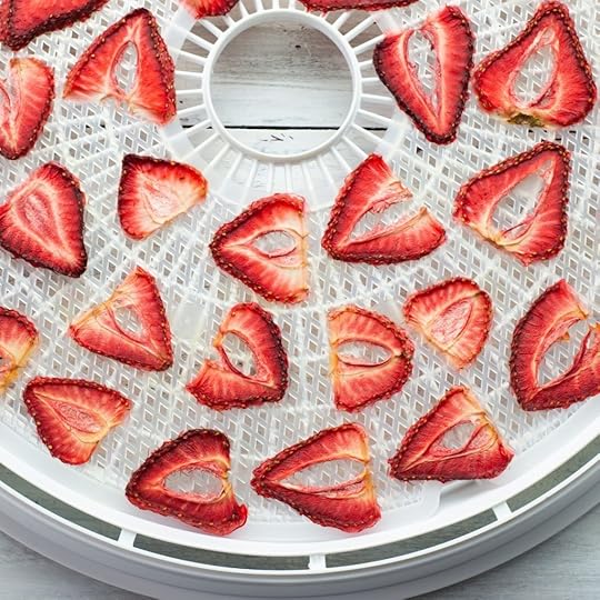 Overhead photo of dehydrated strawberries that have been sliced