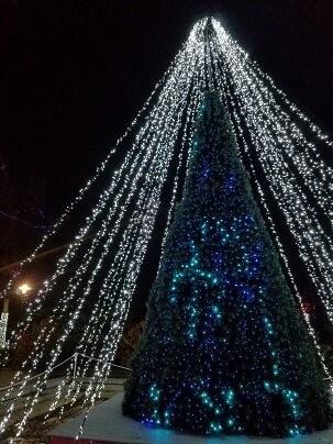 1 tree of lights.jpg