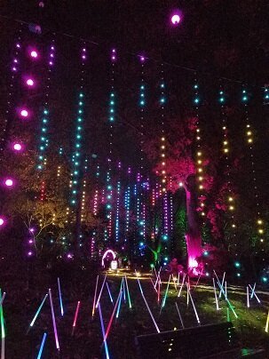 7 rainbow lights.jpg