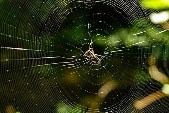 Photo by Joseph Kessler on Pexels.com Words To Hang Our 2020 Hats On Word Of The Day: ALIVE Word Of The Day: ALIVE 2.0 Word Of The Day: ENERGIZED Word Of The Day: ENERGIZED 2.0 Word Of The Day: TRUSTING Word Of The Day: TRUSTING 2.0 Word Of The Day: RHYTHM Word Of The Day: REPLENISHED Word Of The Day: WHOLEHEARTED Word Of The Day: RESILIEN T Word Of The Day: RESILIENT 2.0