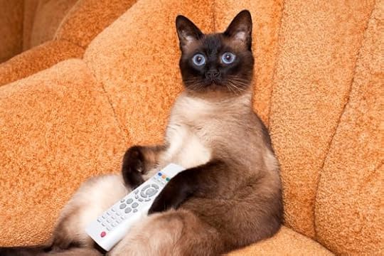 cat-tv-remote