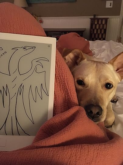 Dragon and white dog