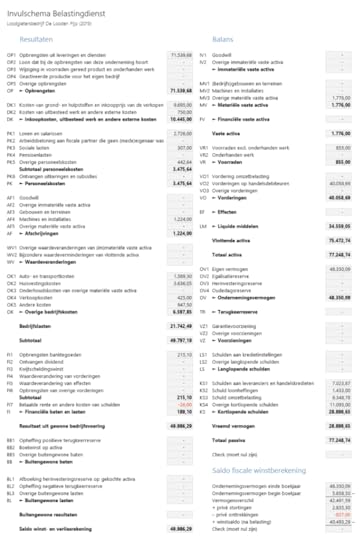 Invulschema Belastingdienst