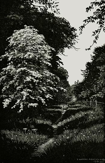 Illustration by Denys Watkins-Pitchford