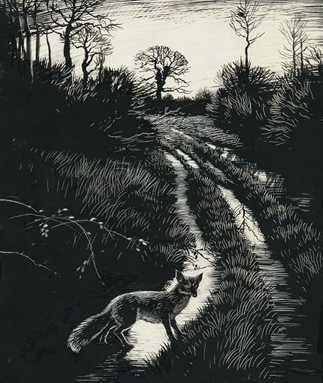 Illustration by Denys Watkins-Pitchford