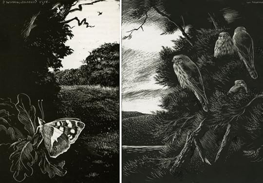 Two illustrations by Denys Watkins-Pitchford