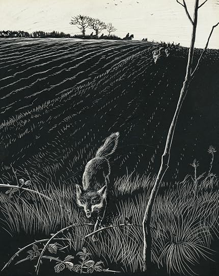 Illustration by Denys Watkins-Pitchford