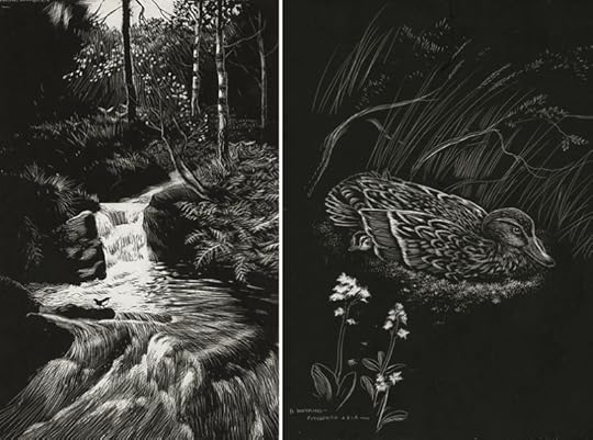 Two illustrations by Denys Watkins-Pitchford