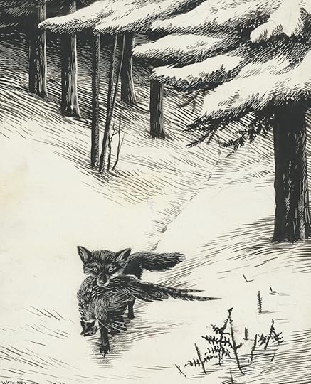 Illustration by Denys Watkins-Pitchford