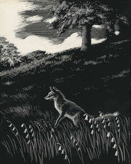 Illustration by Denys Watkins-Pitchford