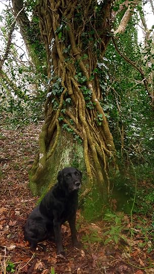 In the tangled heart of a wet winter wood,