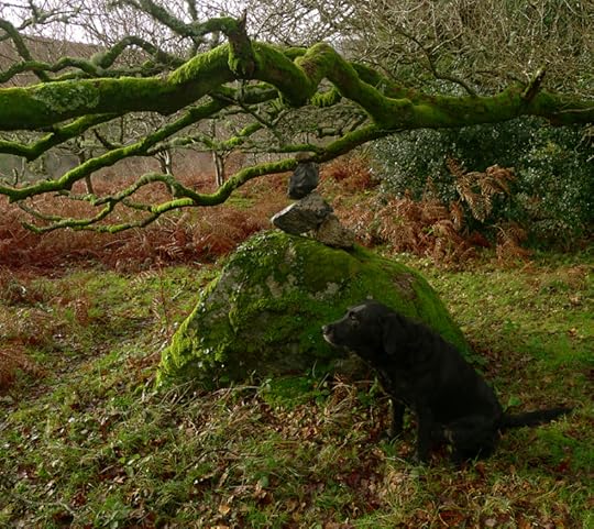 in the cold and the clear,