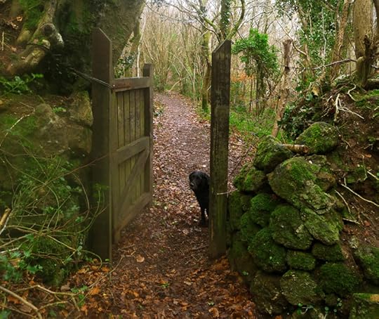 A gate swings open. Enter, my dear.