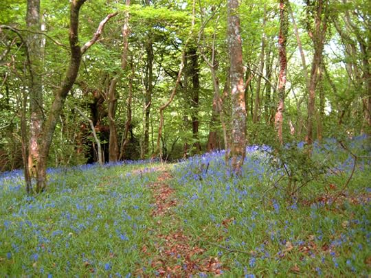 Cross over the threshold, the bridge, the stile,