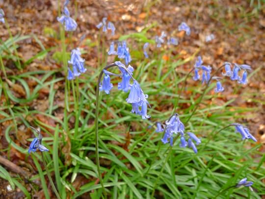 slip through that small secret door in the hill,