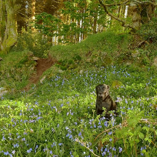 into the green, and into the blue,