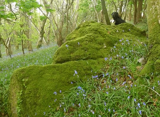 into Faerieland, clever child, foolish child.