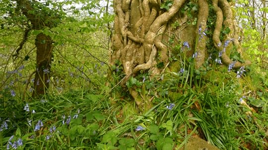 and where you shall live too,