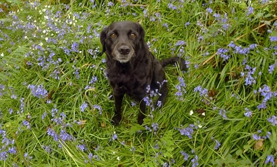 forgetting your world for a year and a day,