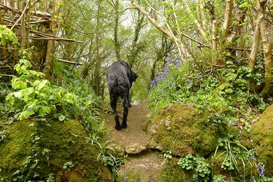 and only then will you find your way home,