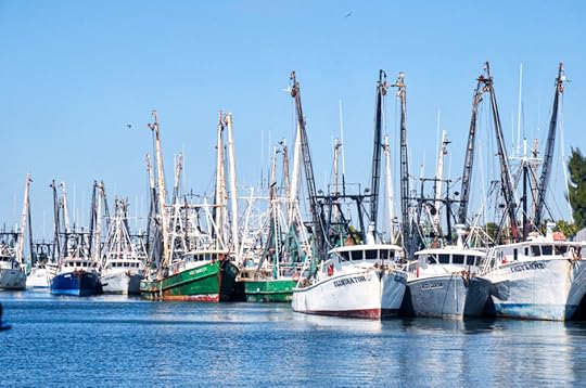 7 food and drink experiences to have on The Beaches of Fort Myers & Sanibel