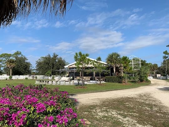 7 food and drink experiences to have on The Beaches of Fort Myers & Sanibel