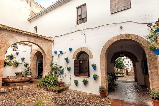 Arches of historical courtyard with flowerpots in town of Andalusia