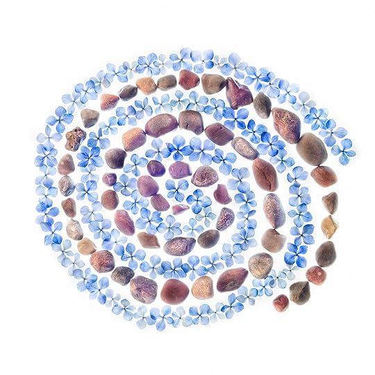 Hydrangea Blossoms and Rock Spiral © Harold Davis