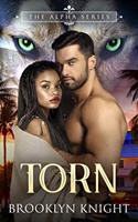 cover for Torn, a paranormal romance by an author of color