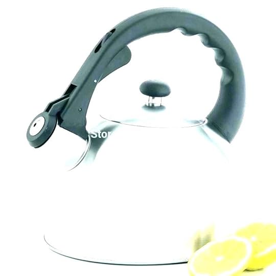 stainless steel tea kettles made in usa electric ceramic kettle medium size of that whistle 1 2 quart best 4 a electricity